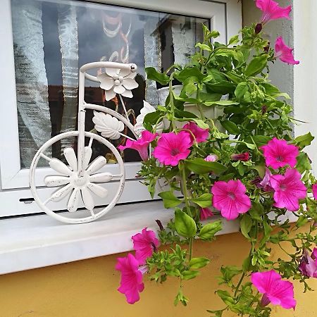 Locanda Del Golfo Λα Σπέτσια Εξωτερικό φωτογραφία