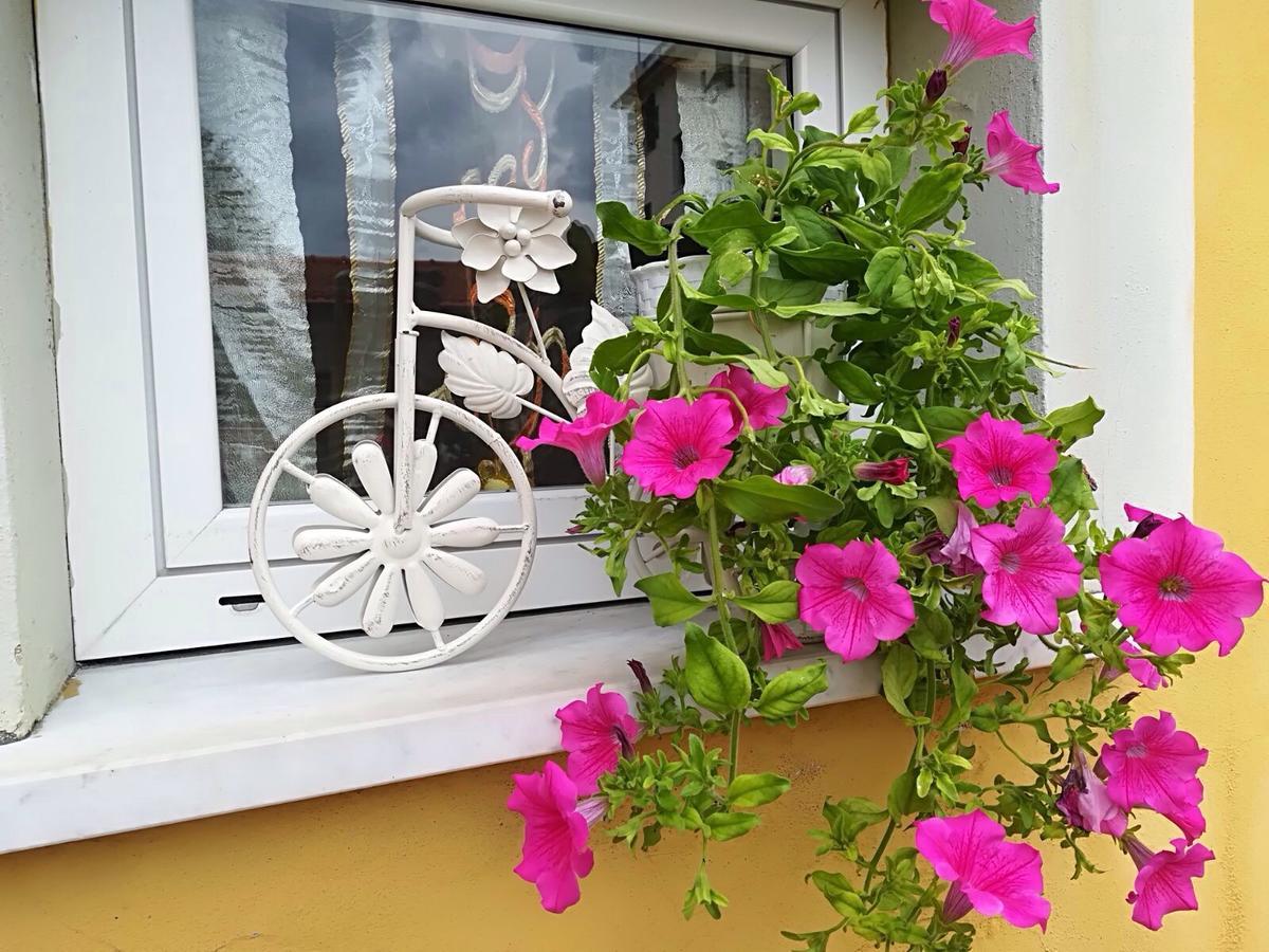 Locanda Del Golfo Λα Σπέτσια Εξωτερικό φωτογραφία